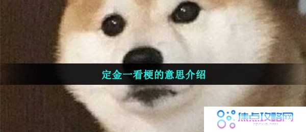定金一看梗的意思介绍