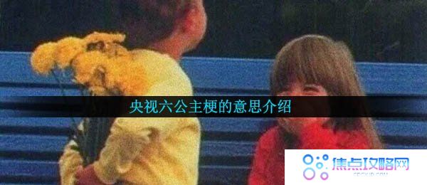 央视六公主梗的意思介绍