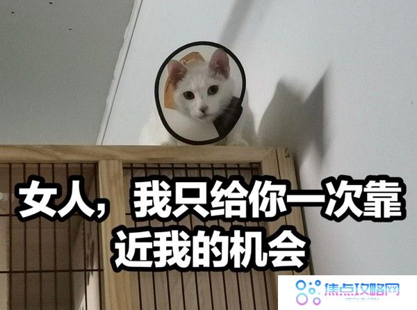 丫头文学系列表情包大全