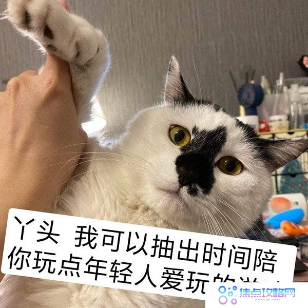 丫头文学系列表情包大全