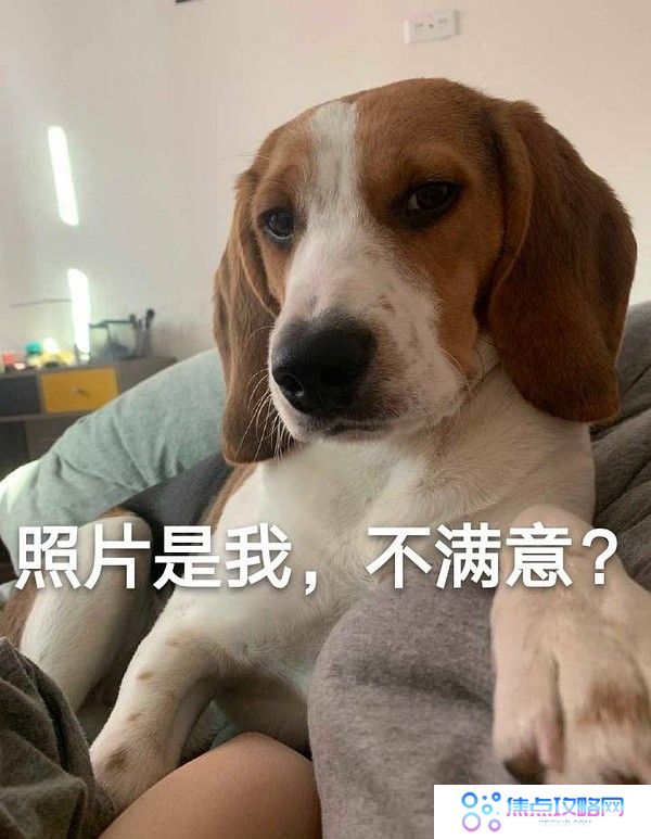 丫头文学系列表情包大全