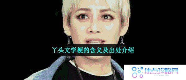 丫头文学梗的含义及出处介绍