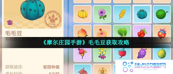 《摩尔庄园手游》毛毛豆获取攻略
