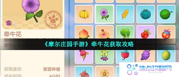 《摩尔庄园手游》牵牛花获取攻略