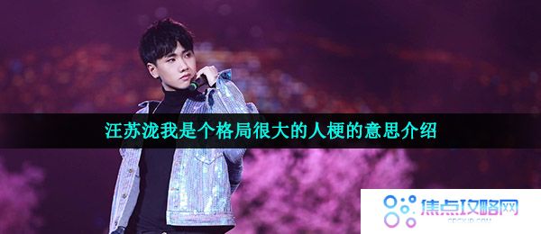 汪苏泷我是个格局很大的人梗的意思介绍