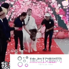 《抖音》殷世航求婚表情包大全GIF动图