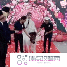 《抖音》殷世航求婚表情包大全GIF动图