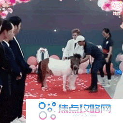 《抖音》殷世航求婚表情包大全GIF动图