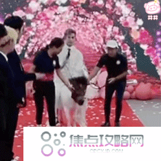 《抖音》殷世航求婚表情包大全GIF动图