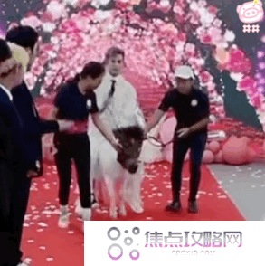 《抖音》殷世航求婚表情包大全GIF动图