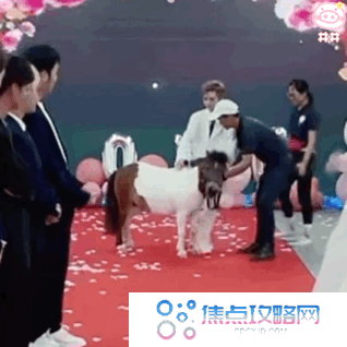 《抖音》殷世航求婚表情包大全GIF动图