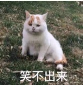 希望你永远不懂这句话梗的意思介绍