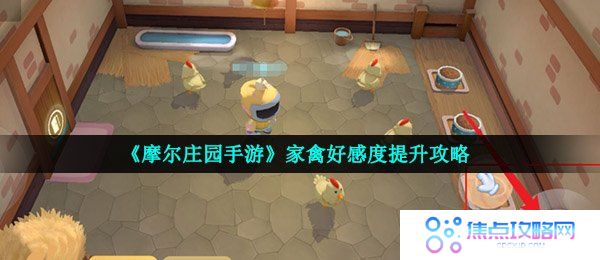 《摩尔庄园手游》家禽好感度提升攻略